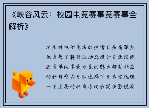 《峡谷风云：校园电竞赛事竞赛事全解析》
